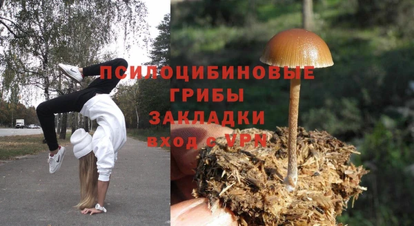 хмурый Абдулино