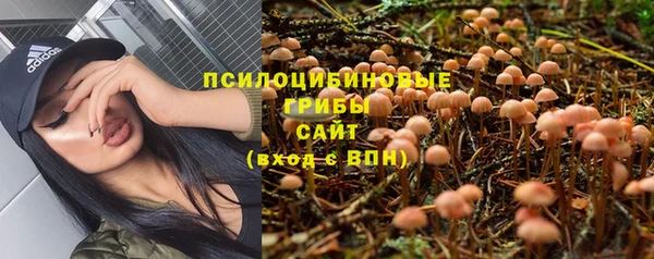 хмурый Абдулино