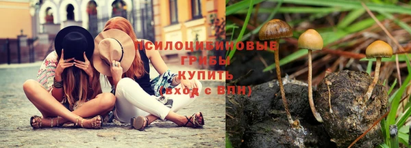 прущая мука Абинск