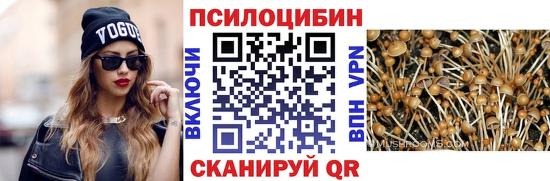 маркетплейс формула  купить  цена  Зерноград  Псилоцибиновые грибы Psilocybe 